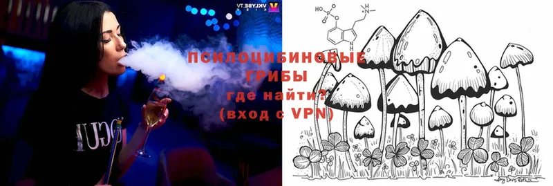 сколько стоит  Усолье  Галлюциногенные грибы Magic Shrooms 